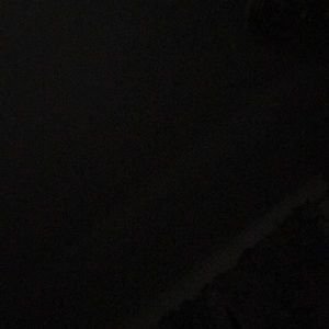 Meet your Posher, Julissa